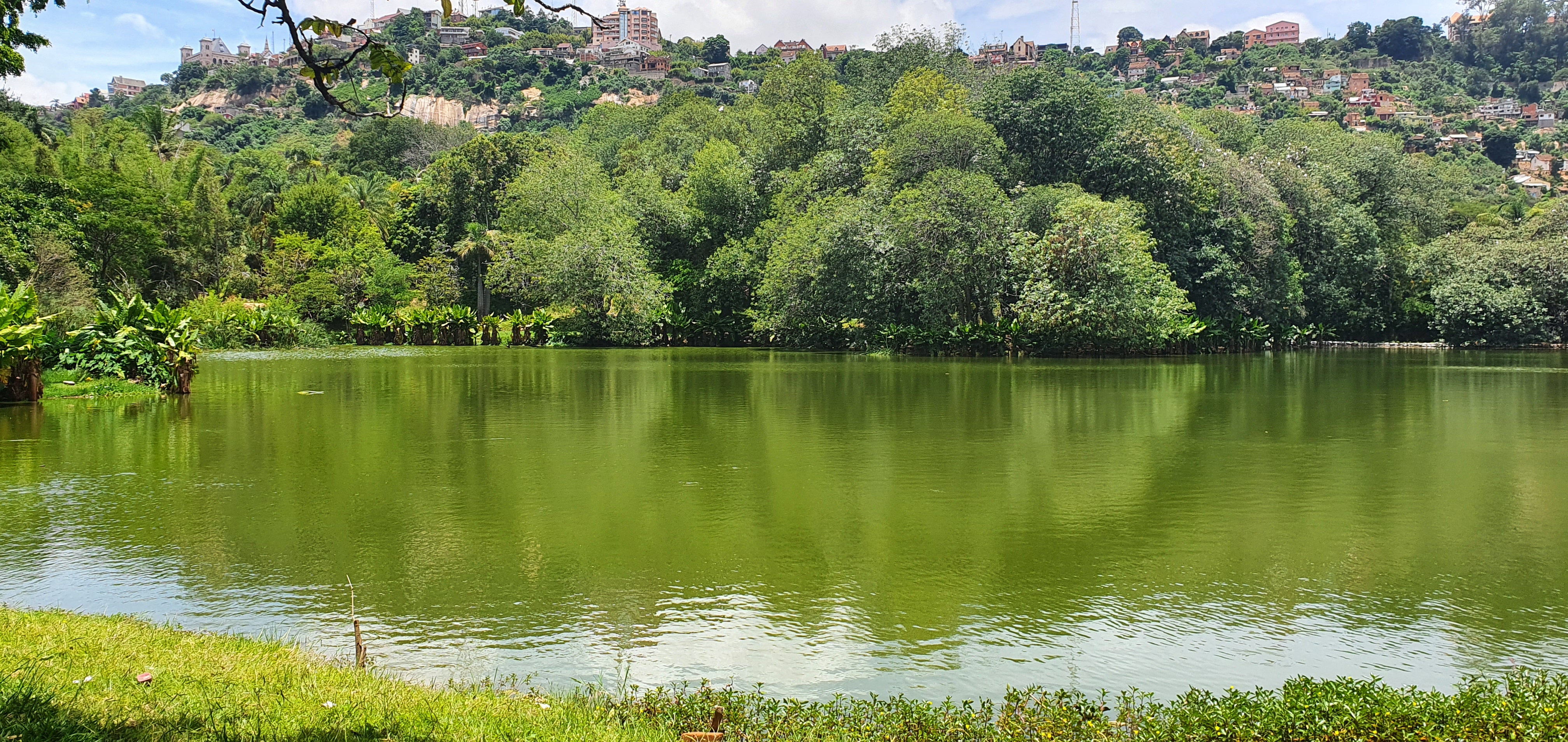 Lac et végétation dans le parc de Tsimbazaza à Antananarivo